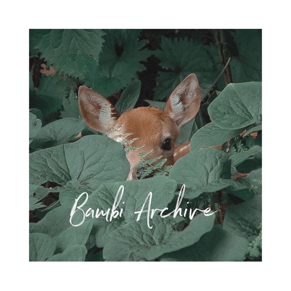 Bambi Archive ~ Posh Policies